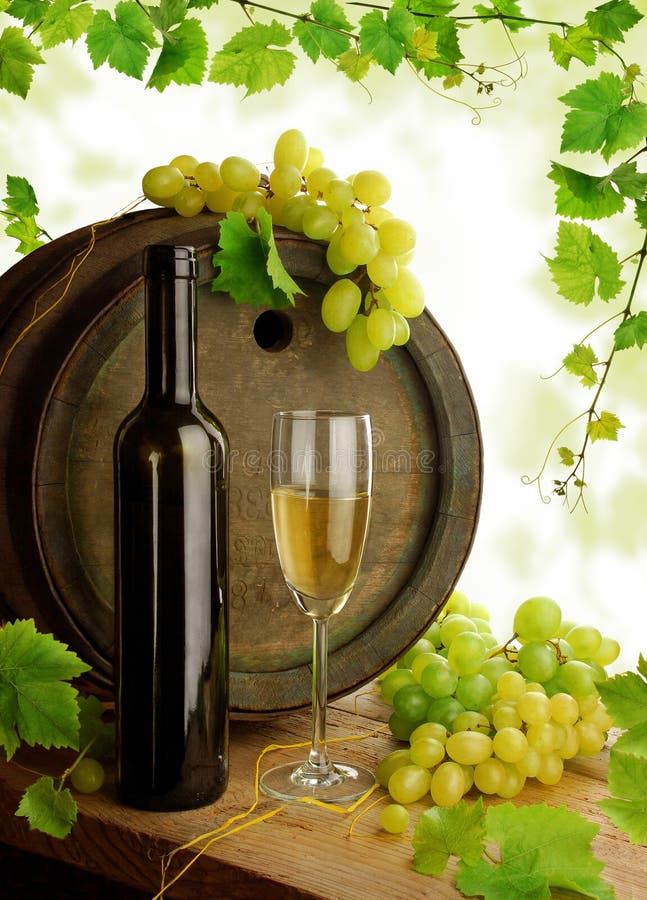 Wine still life with grapevine royalty free stock photography Wine still life with grapevine royalty free stock photography