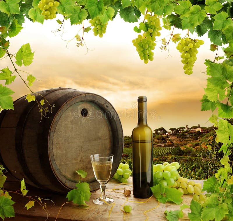 Wine still life and vineyard royalty free stock image Wine still life and vineyard royalty free stock image