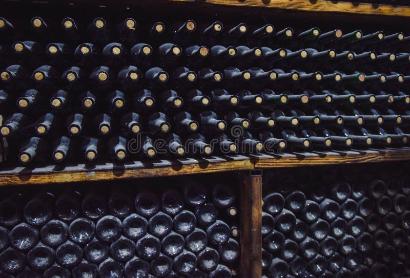 Wine Storage in the Cellar . America Stock Image Image of expensive