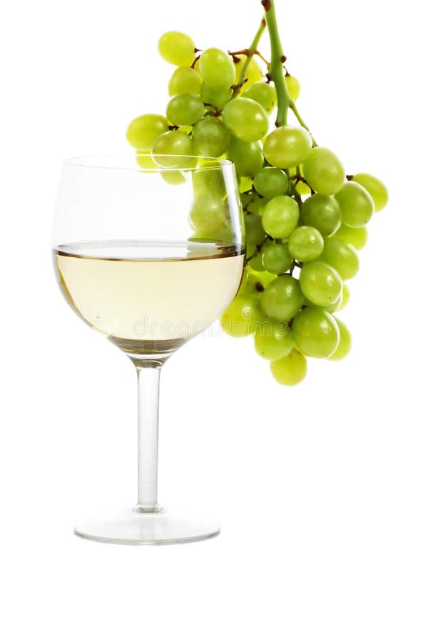 Wine and vine