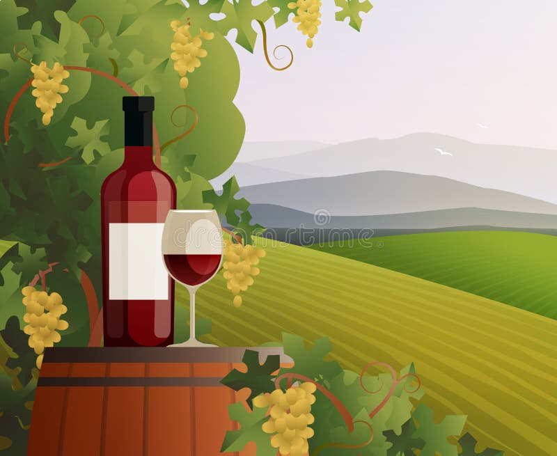 Wine And Vineyard Illustration