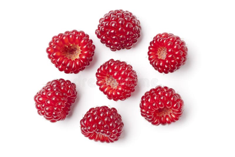 Wineberries giapponese commestibile rosso