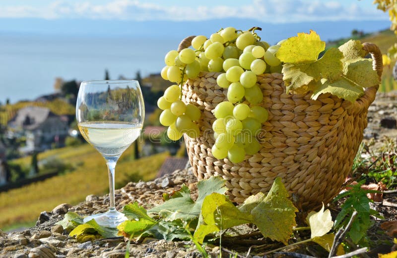 Wineglass and basket of grapes