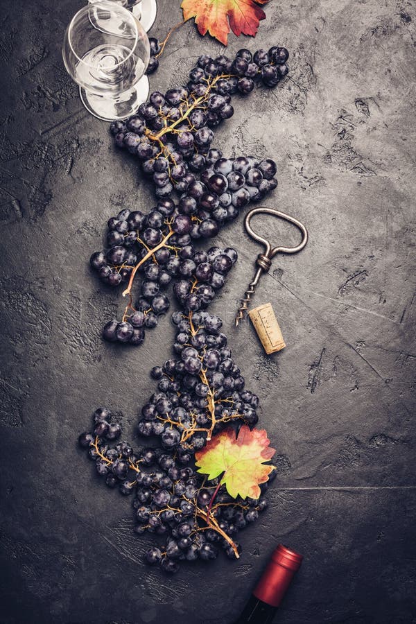 Wineglasses with grapes and corks on dark background royalty free stock photo Wineglasses with grapes and corks on dark background royalty free stock photo