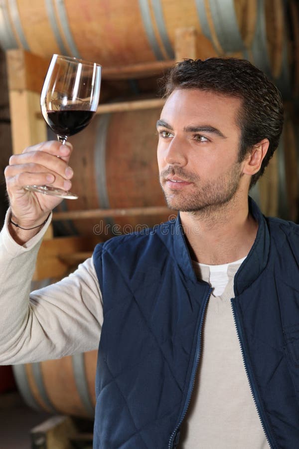 Winemaker in cantina con vino fotografia stock Winemaker in cantina con vino fotografia stock