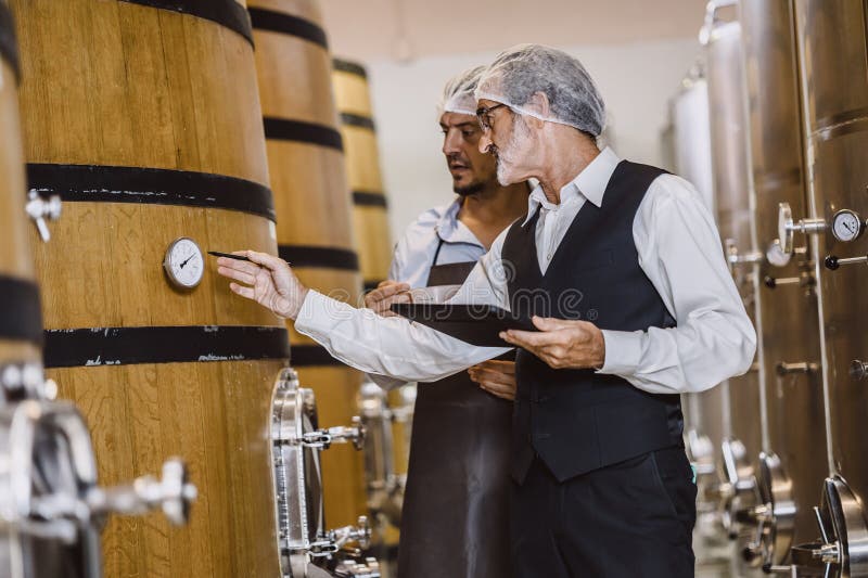Winemaker Professional Working in Modern Large Winery Factory Liquor