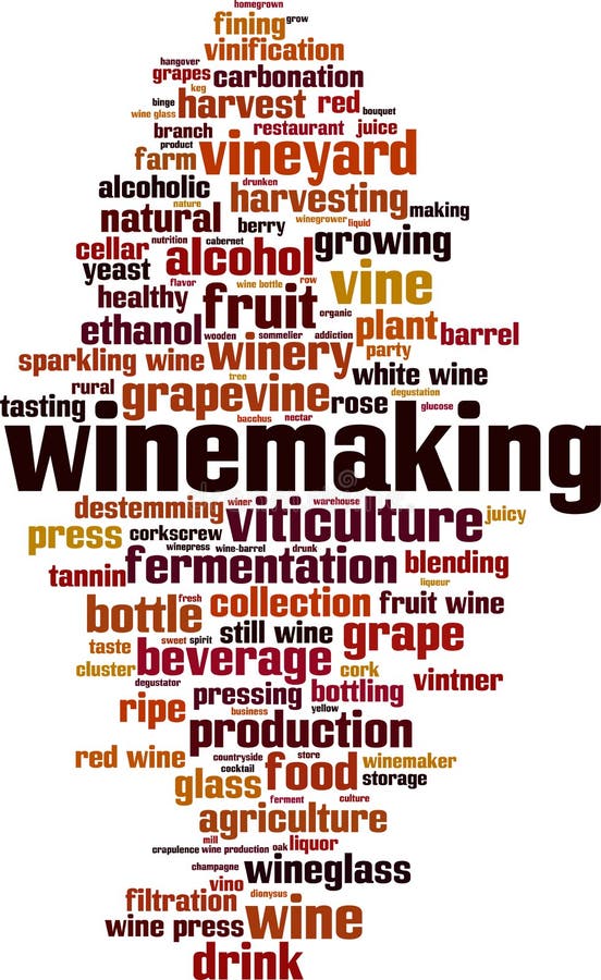 Winemaking word cloud stock vector. Illustration of concept 173539304