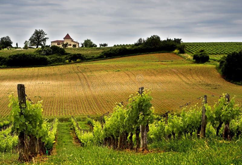 Francés bodegas de vino en, del sur Francia.