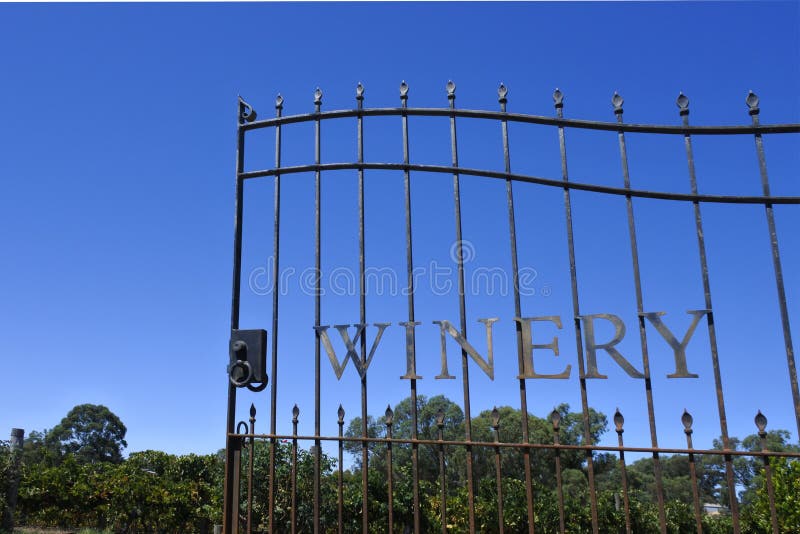 Winery Gate Opens into a Vineyard Under Clear Blue Sky Stock Photo