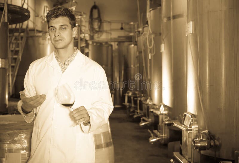 Winery Technician Posing with Wine Stock Image Image of control