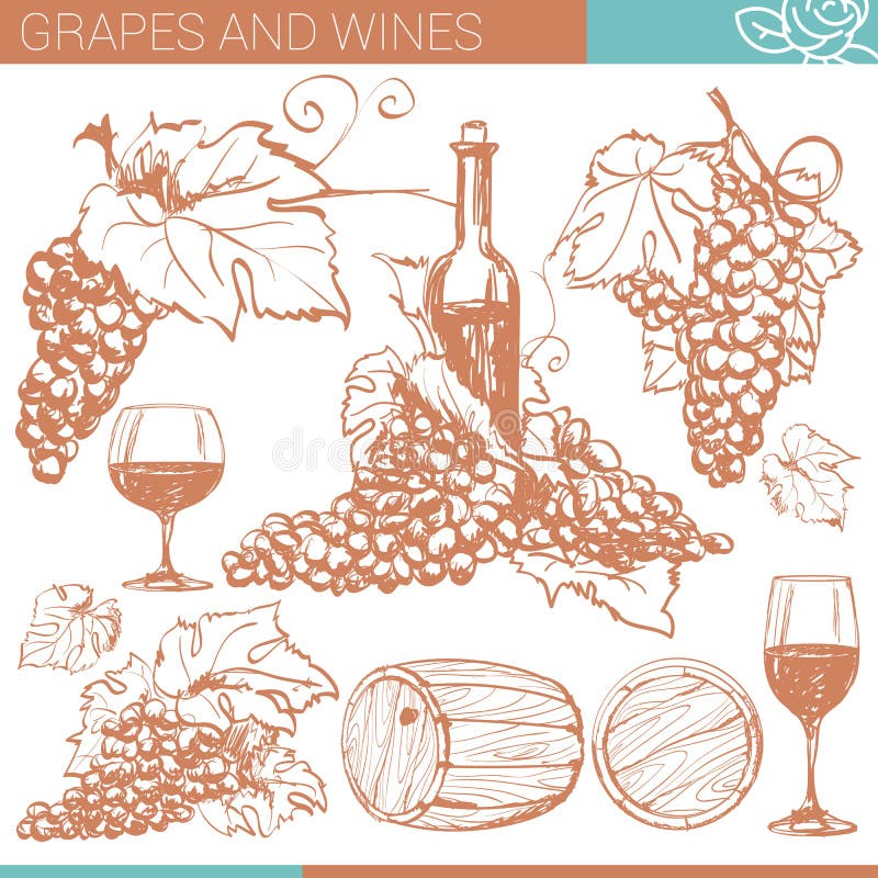 Winery vector skethes