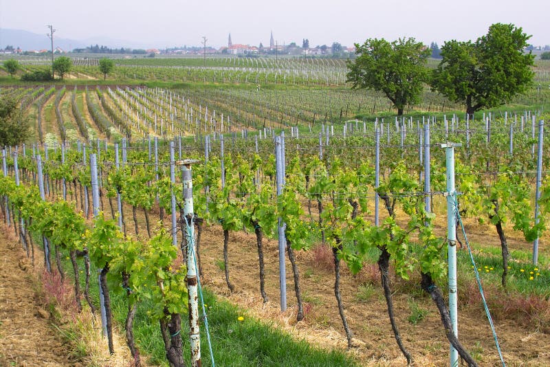 Brigantine stock image. Image of harbor, cross, anchor 884131