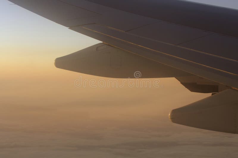 Winglet in sunset