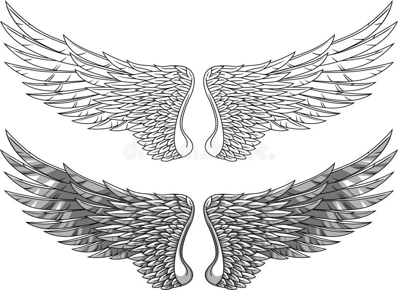 Golden Angel Wings/eps stock vector. Illustration of feather 8549280