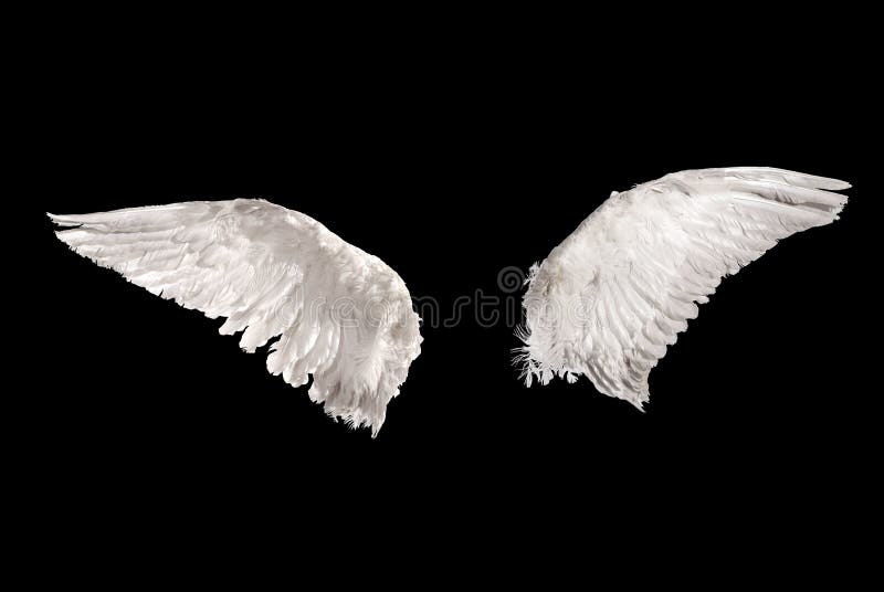 Wings over black royalty free stock photo Wings over black royalty free stock photo