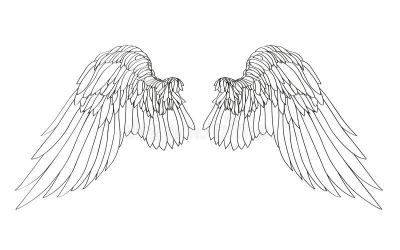 White Wings. Vector Illustration On Dark Background. Black And W Stock
