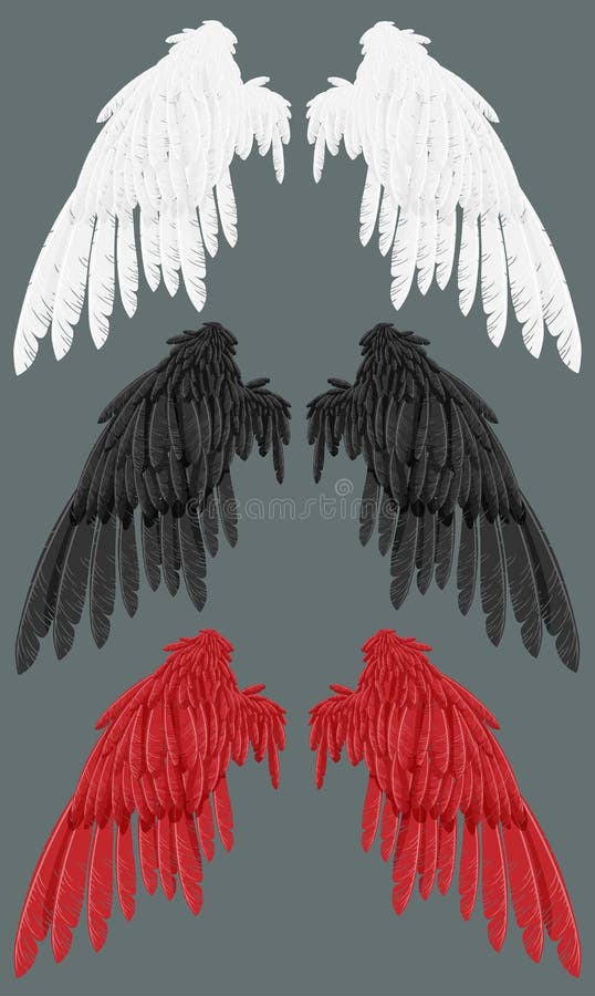 Wings white, black, red A