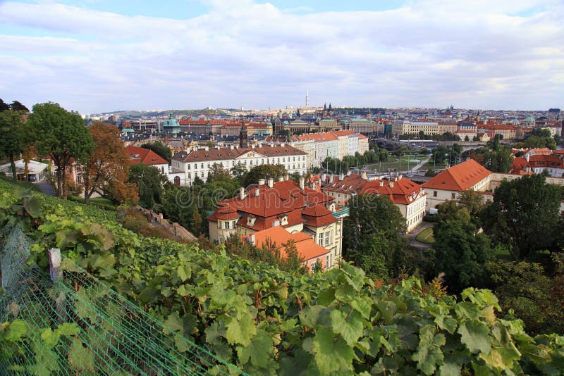 Winnica Praga obraz royalty free Winnica Praga obraz royalty free