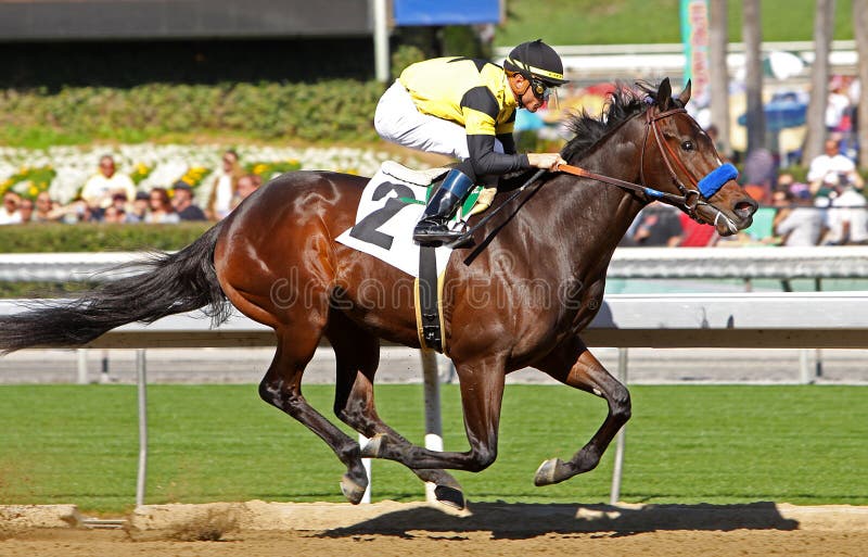 ARCADIA, CA - JAN 29: Jockey Garrett Gomez pilots 3-year-old colt Runflatout to his first win at Santa Anita Park on Jan 29, 2011 in Arcadia, CA. ARCADIA, CA - JAN 29: Jockey Garrett Gomez pilots 3-year-old colt Runflatout to his first win at Santa Anita Park on Jan 29, 2011 in Arcadia, CA.