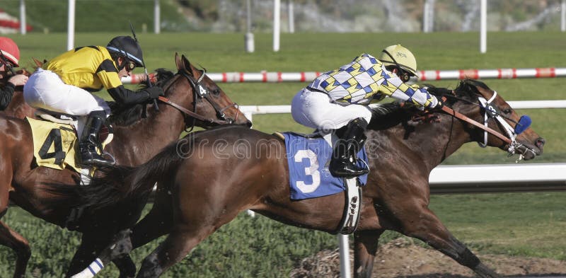 Overbid, a 2-year-old colt, breaks his maiden under jockey Alonso Quinonez, at Hollywood Park, Inglewood, CA on 12/8/2007. Overbid, a 2-year-old colt, breaks his maiden under jockey Alonso Quinonez, at Hollywood Park, Inglewood, CA on 12/8/2007.