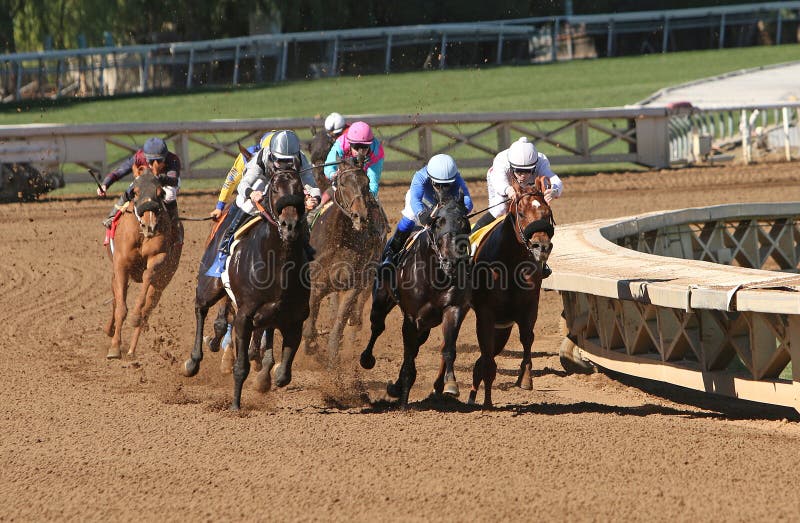 ARCADIA, CA - JAN 24: Eclipse award-winning Jockey, Drayden Van Dyke, (silver gray cap) pilots This Time I Win to his maiden victory at historic Santa Anita Park on January 24, 2015 in Arcadia, CA. ARCADIA, CA - JAN 24: Eclipse award-winning Jockey, Drayden Van Dyke, (silver gray cap) pilots This Time I Win to his maiden victory at historic Santa Anita Park on January 24, 2015 in Arcadia, CA.