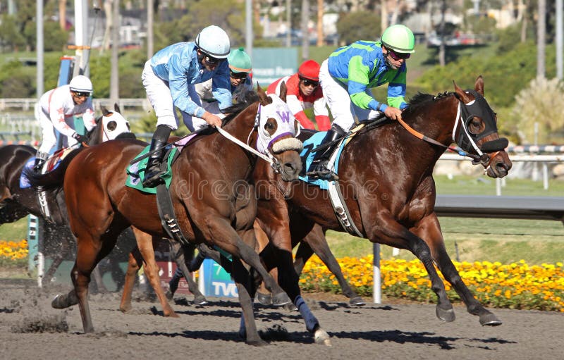 INGLEWOOD, CA - NOV 26: Jockey Patrick Valenzuela pilots Warren's Dove to victory in a claiming race at Hollywood Park on Nov 26, 2010 in Inglewood, CA. INGLEWOOD, CA - NOV 26: Jockey Patrick Valenzuela pilots Warren's Dove to victory in a claiming race at Hollywood Park on Nov 26, 2010 in Inglewood, CA.