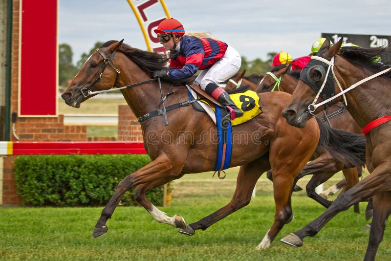 Winning racehorse and female jockey taken February 2011 at Dubbo NSW Australia. Winning racehorse and female jockey taken February 2011 at Dubbo NSW Australia