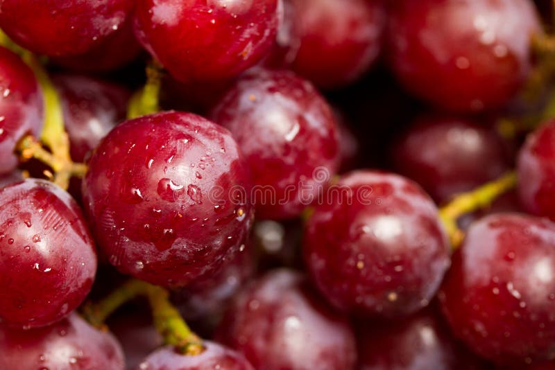 Winogrona czerwoni