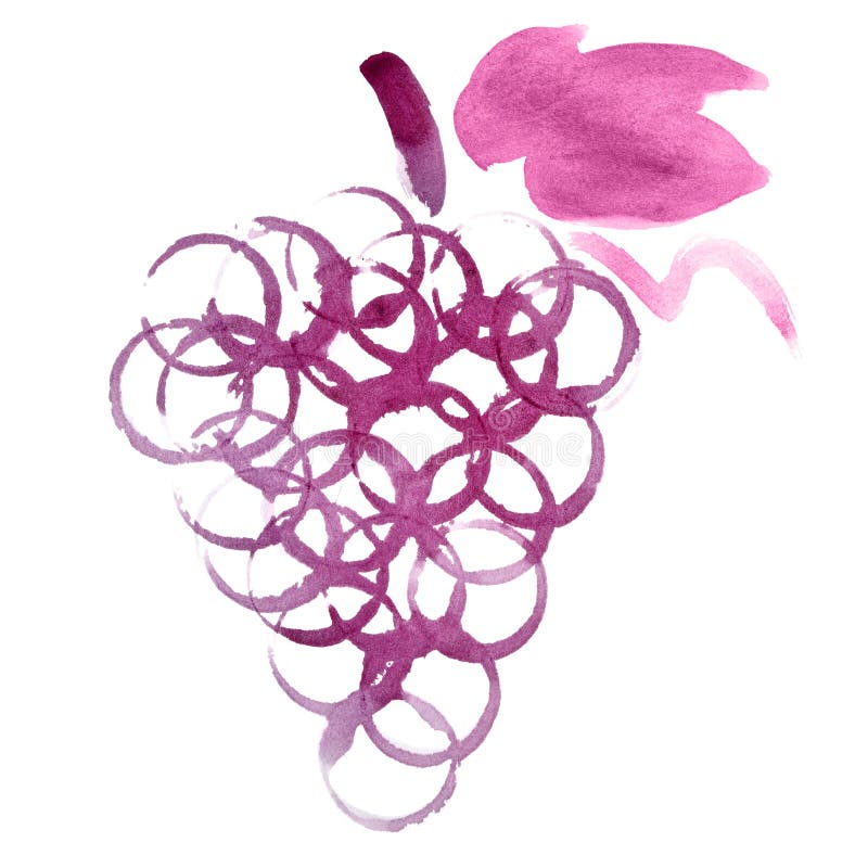Winogrono wiązka ilustracji
