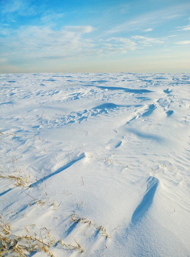 Winter. stock images