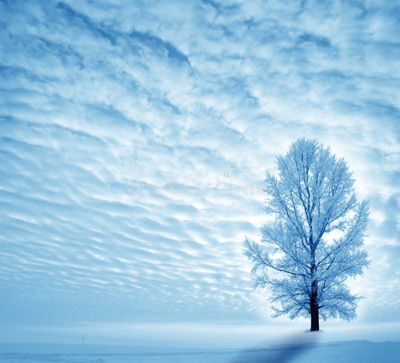 Winter stockfotografie Winter stockfotografie