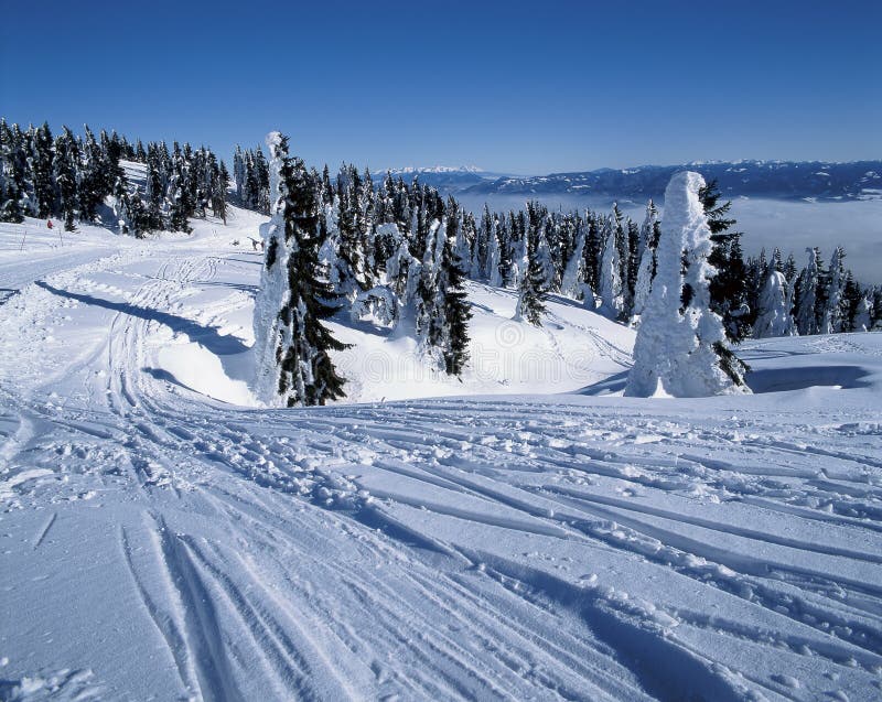 Gastronomické zážitky na Martinských holiach: Chuť tradičnej slovenskej kuchyne