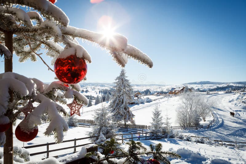  Winter stockbild