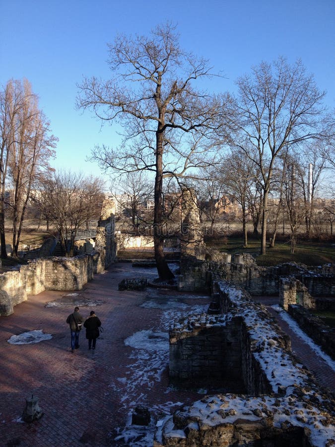 Margaret island, Budapest editorial stock photo. Image of green 53866298