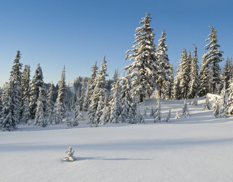 A small tree barely rises above a winter snowpack in central Oregon. A small tree barely rises above a winter snowpack in central Oregon