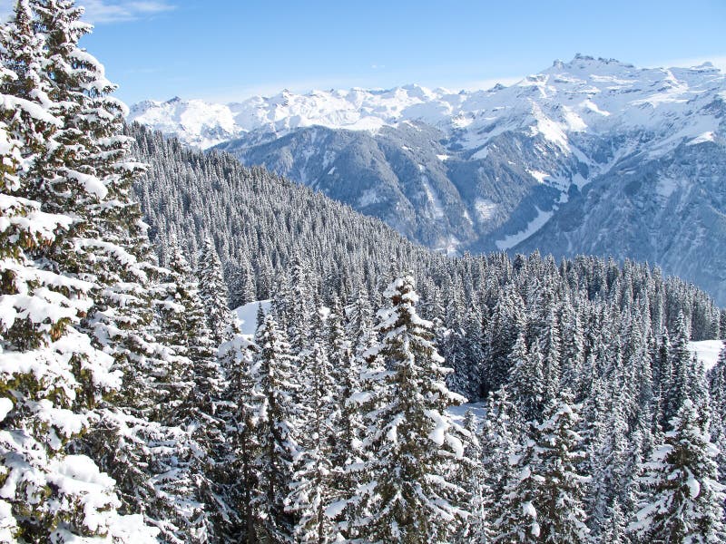 Winter in alps