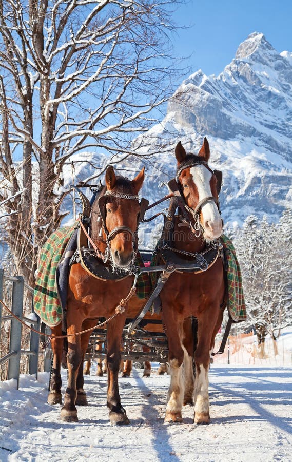 Winter in alps