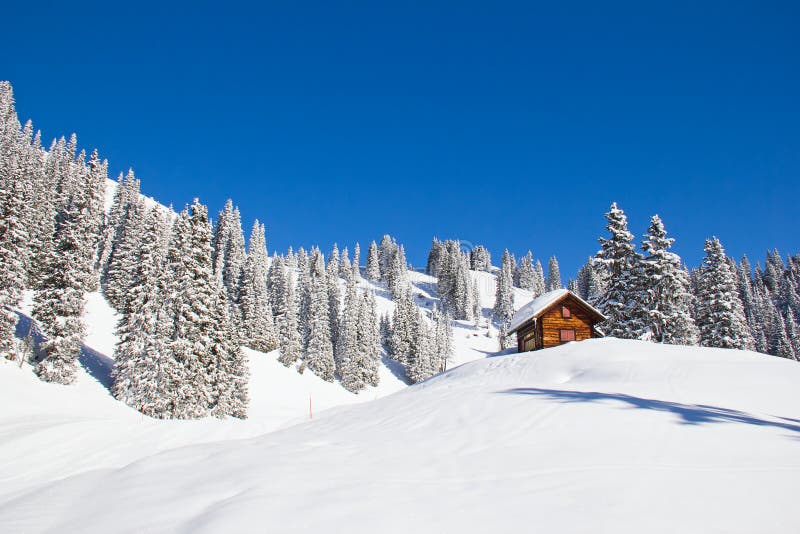 Winter in alps