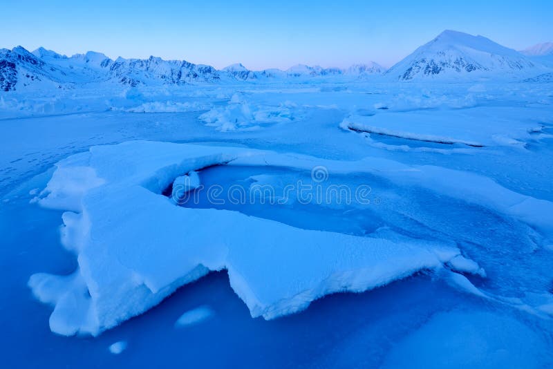 Winter Arctic. White snowy mountain, blue glacier Svalbard, Norway. Ice in ocean. Iceberg twilight in North pole. Pink clouds with