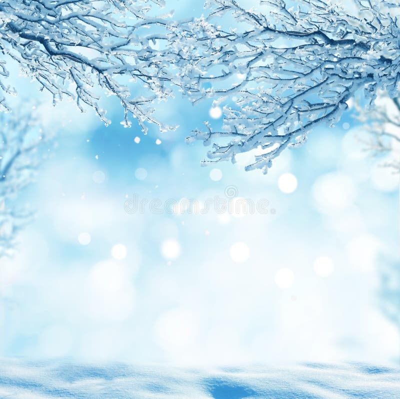 3,947,113 Winter Background Stock Photos - Free & Royalty-Free