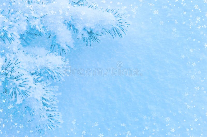 Winter Background