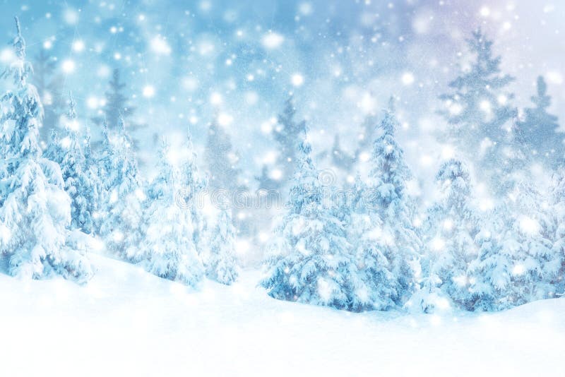 Beautiful Free Winter Wallpaper and Winter Desktop Backgrounds