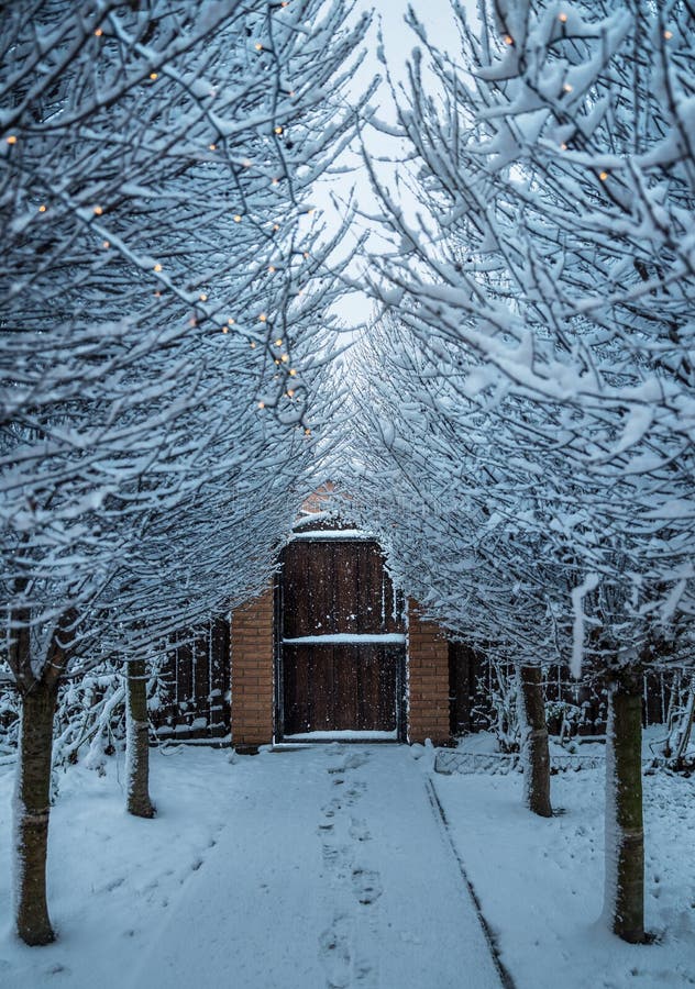Winter-bakgrund Snowy väg genom snöträd till stängseldörren royaltyfri bild