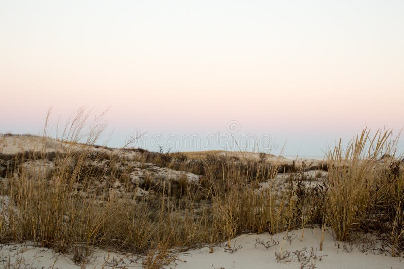 Winter beach landscape dunes ocean