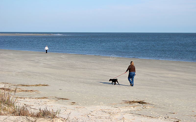 Winter Beach Walk