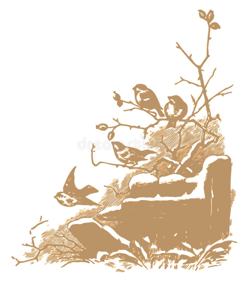 Winter birds engraving (vector). Winter scene with birds and branches, retro engraving, two colors vector royalty free illustration Winter birds engraving (vector). Winter scene with birds and branches, retro engraving, two colors vector royalty free illustration