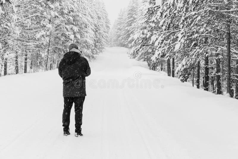 Camouflaged Sniper in the Forest Stock Photo - Image of people, scout:  148201428