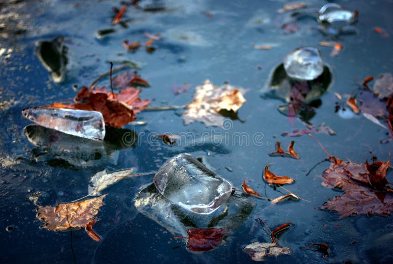 Winter blue ice and maple leaves frozen in river