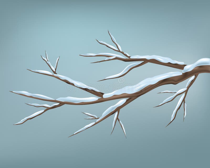 Winter branch of tree and snow seasonal vector image