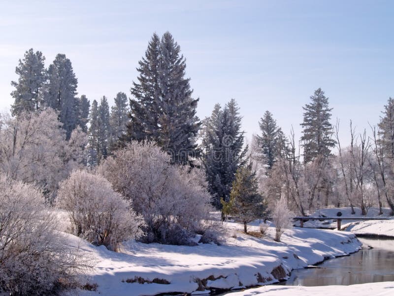 A Winter Brook